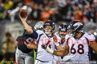 2018nfl季后赛规则（2018 季后赛）