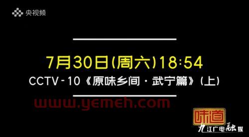 中央电视台网络频道