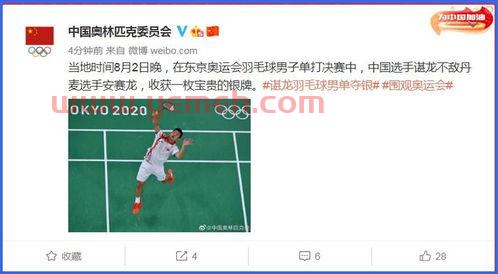 2012奥运会羽毛球男单决赛
