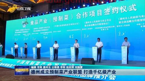 山东新闻频道在线直播