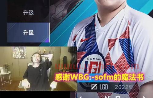 lolomg比赛视频