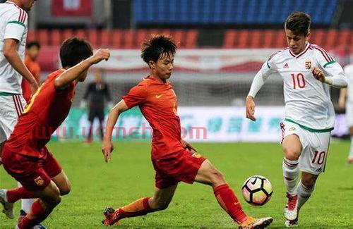 费莱尼加盟鲁能