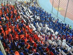 ultras