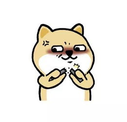 今年是什么年啊