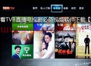 翡翠台直播