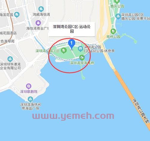 深圳湾公园好玩吗