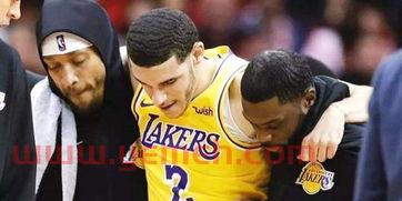 火箭vs湖人球哥受伤（火箭跟湖人的比赛）