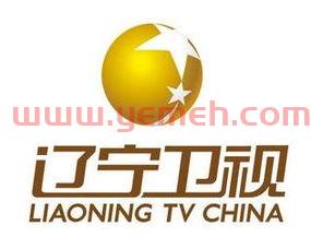 辽宁卫视官网